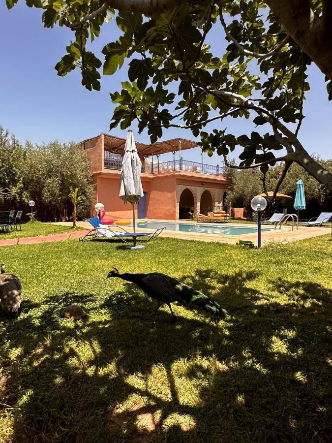 Villa Ms Holidays Mika Privatisee Marrakech Marrakesch Exterior foto