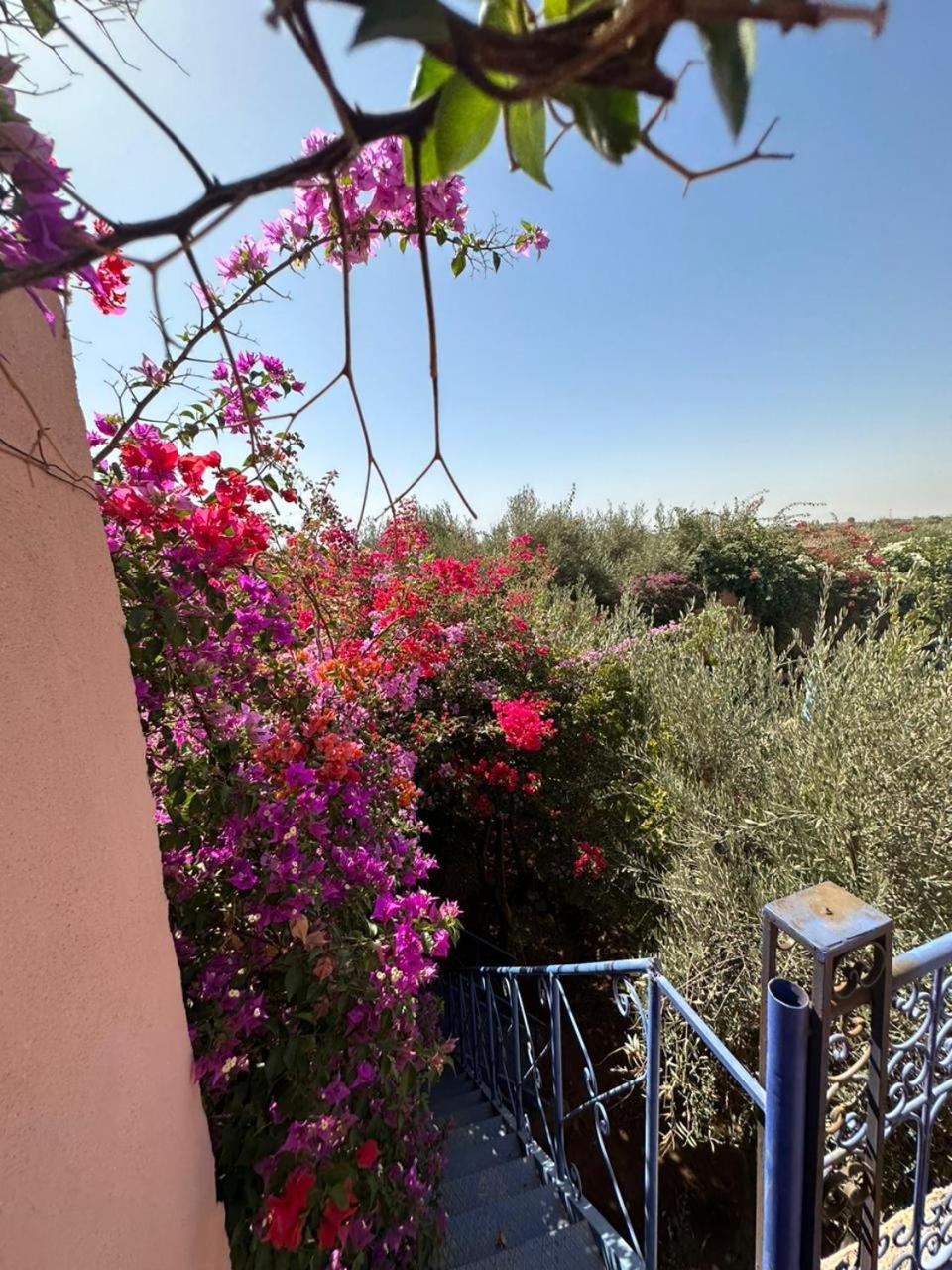 Villa Ms Holidays Mika Privatisee Marrakech Marrakesch Exterior foto